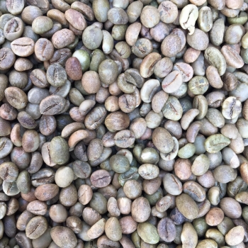Cleaned Robusta green coffee beans S18 - Dong Duong Food - Công Ty Cổ Phần Sản Xuất Đông Dương